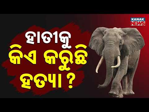 ଦେବଗଡ଼ ରିଆମାଳ ବନାଞ୍ଚଳରୁ ମୃତ ହାତୀର ଅସ୍ଥି ଉଦ୍ଧାର | Elephant Death Mystery In Deogarh!