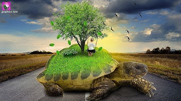 Nature On Tortoise - Photo Manipulation Tutorial In Photoshop - Photoshop CC