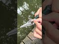 Say goodbye to rust and failure.A 100% seawater‑resistant, heavy‑duty tool - Kanama Fishing Pliers.