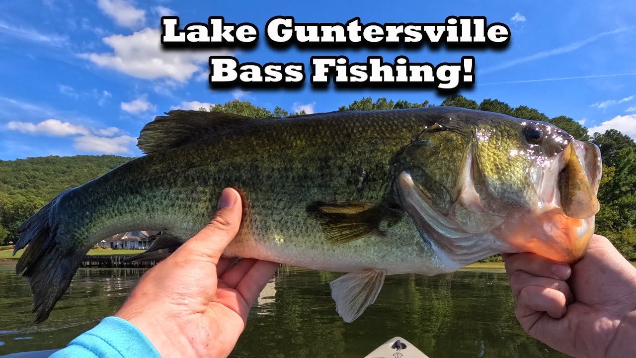 Fall Kayak Bass Fishing On Lake Guntersville For GIANT Bass! Bass