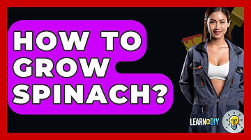 How To Grow Spinach? - LearnToDIY360.com