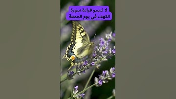 لا تنسو قراءة سورة الكهف في يوم الجمعة