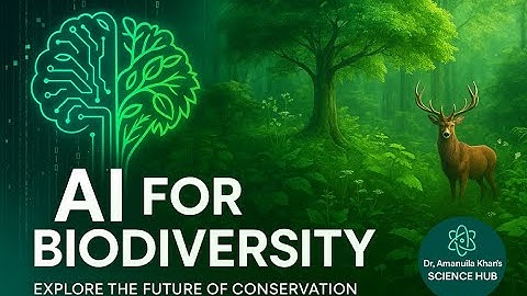 AI for Biodiversity Insights
