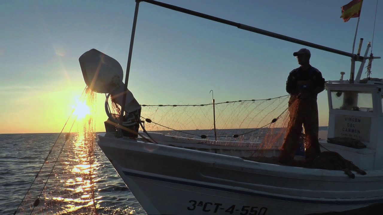 REGRESO AL FUTURO. Documental completo (Español)