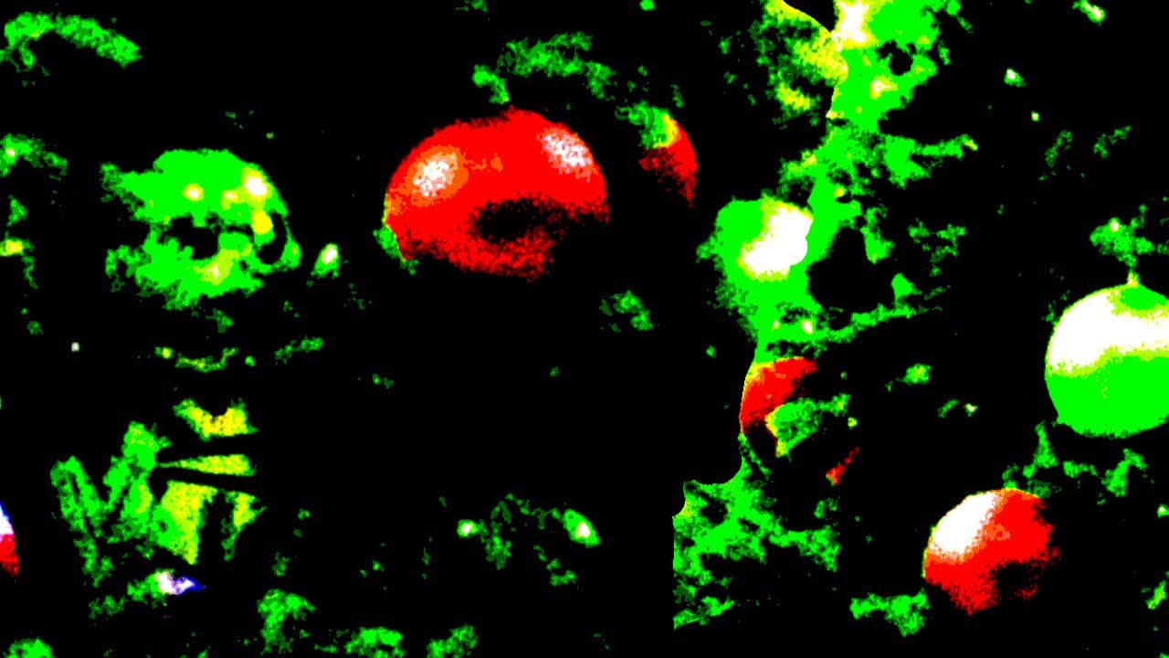 XMAS OLYMPICS (ft. MATTHEW MAXI, SBJerry, MiH, ANDR3)