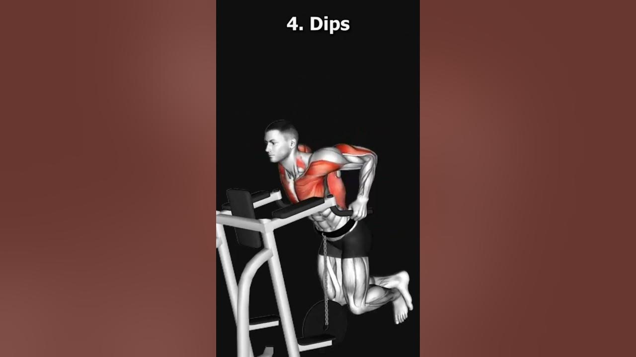 chest-day-like-a-pro-the-best-chest-exercises-for-a-total