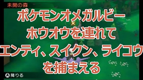 ポケットモンスターアルファサファイアルギアあいに行く道
