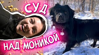 Суд над Моникой/готовимся к Дню св.Валентина@PolinaSladkova @MargoSladkov