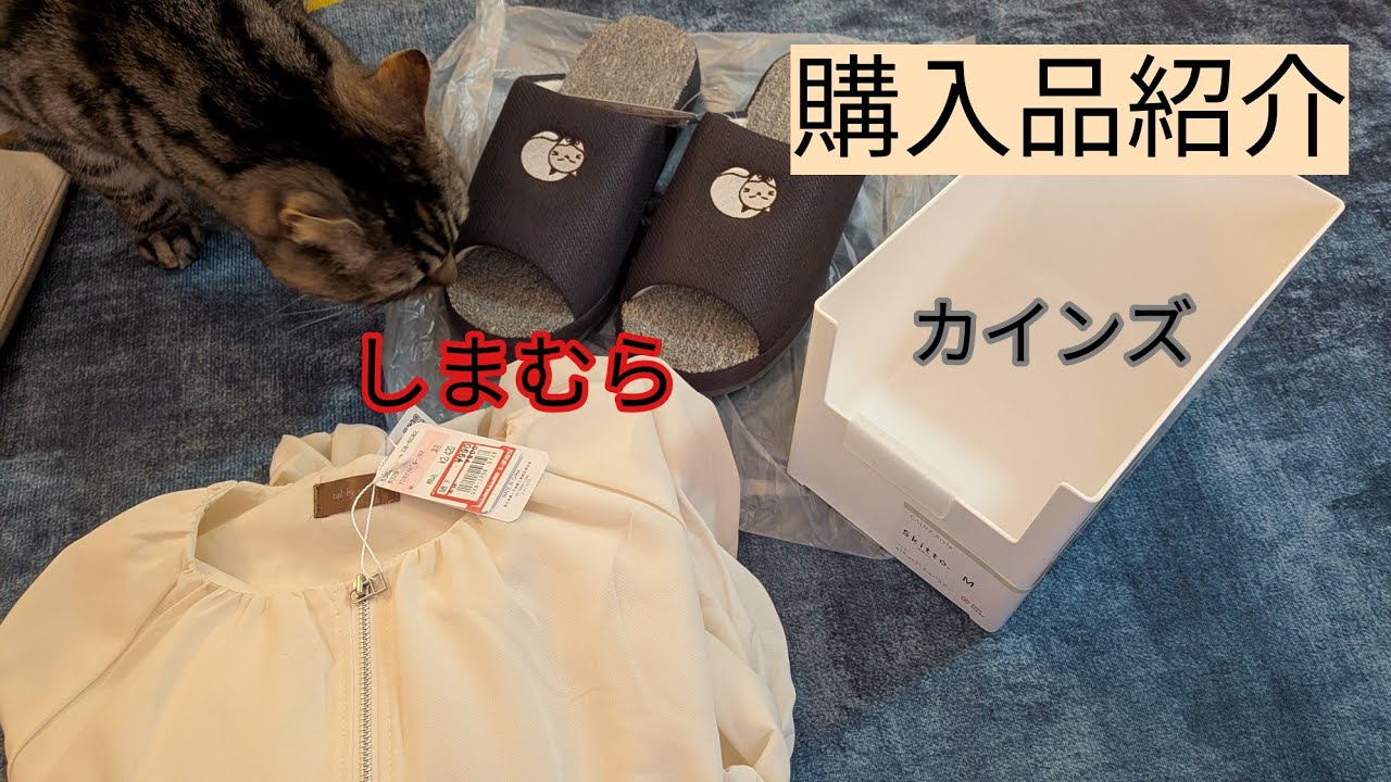 購入品紹介　しまむら　カインズ