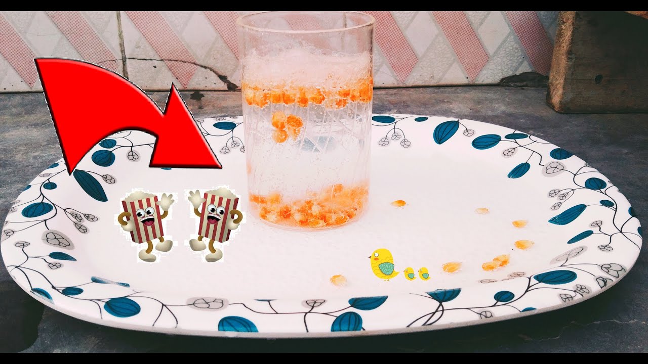 Dancing popcorn Science Experiment Science Experiment To Do At Home