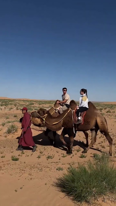 NIKITA WILLY NAIK ONTA DI DESERT.