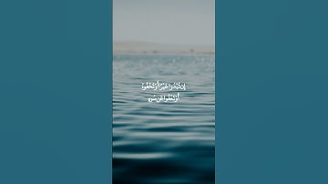 القارئ فارس عباد | تلاوه خاشعه