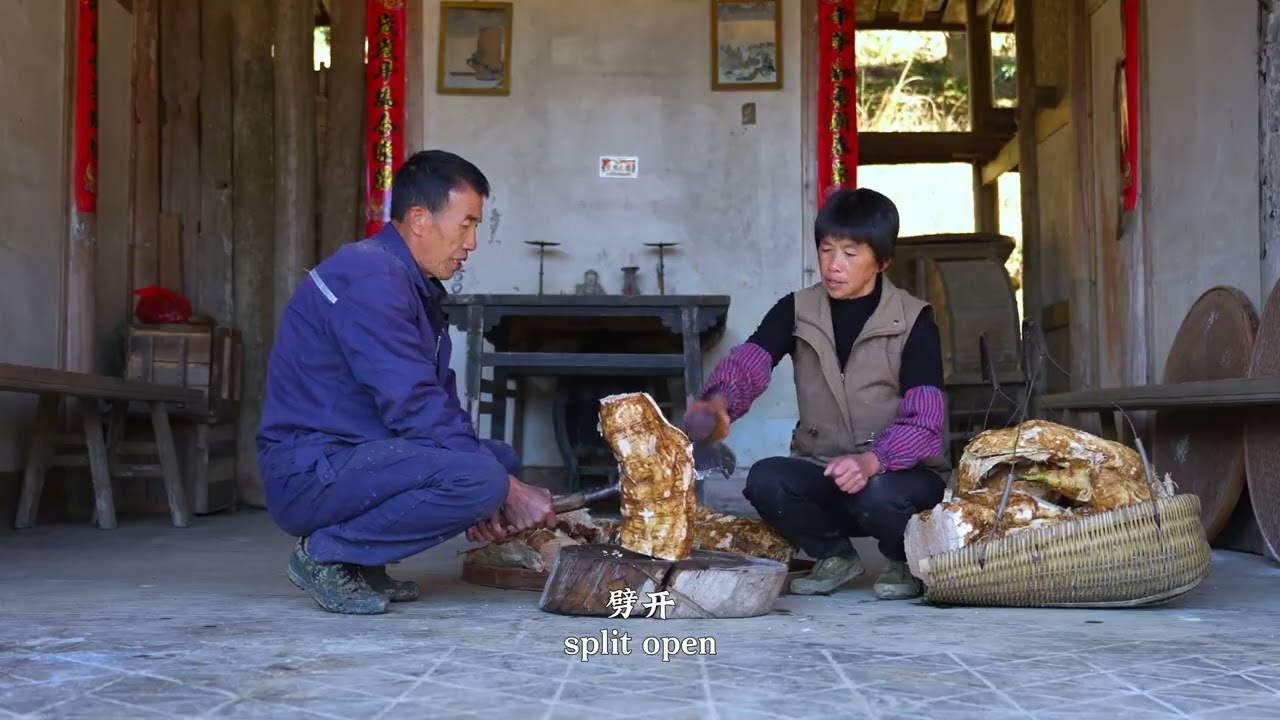 EXCLUSIVE: Unveiling 100 Pounds of Giant Kudzu Roots