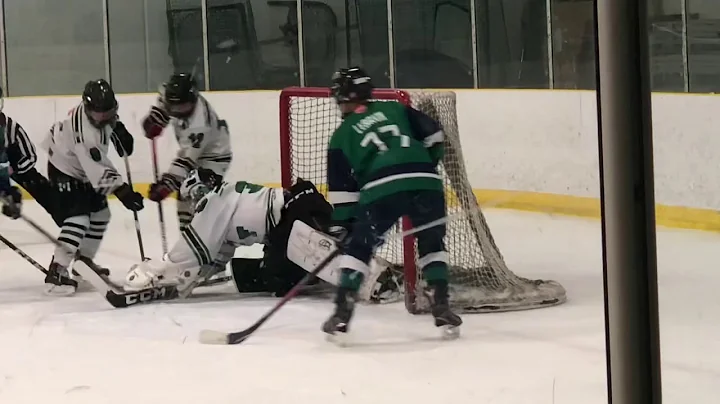 EGF PWB vs Rosemount Goalie Highlights