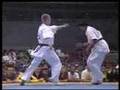 "Kyokushin Karate"　KO　(back spin & other kick)