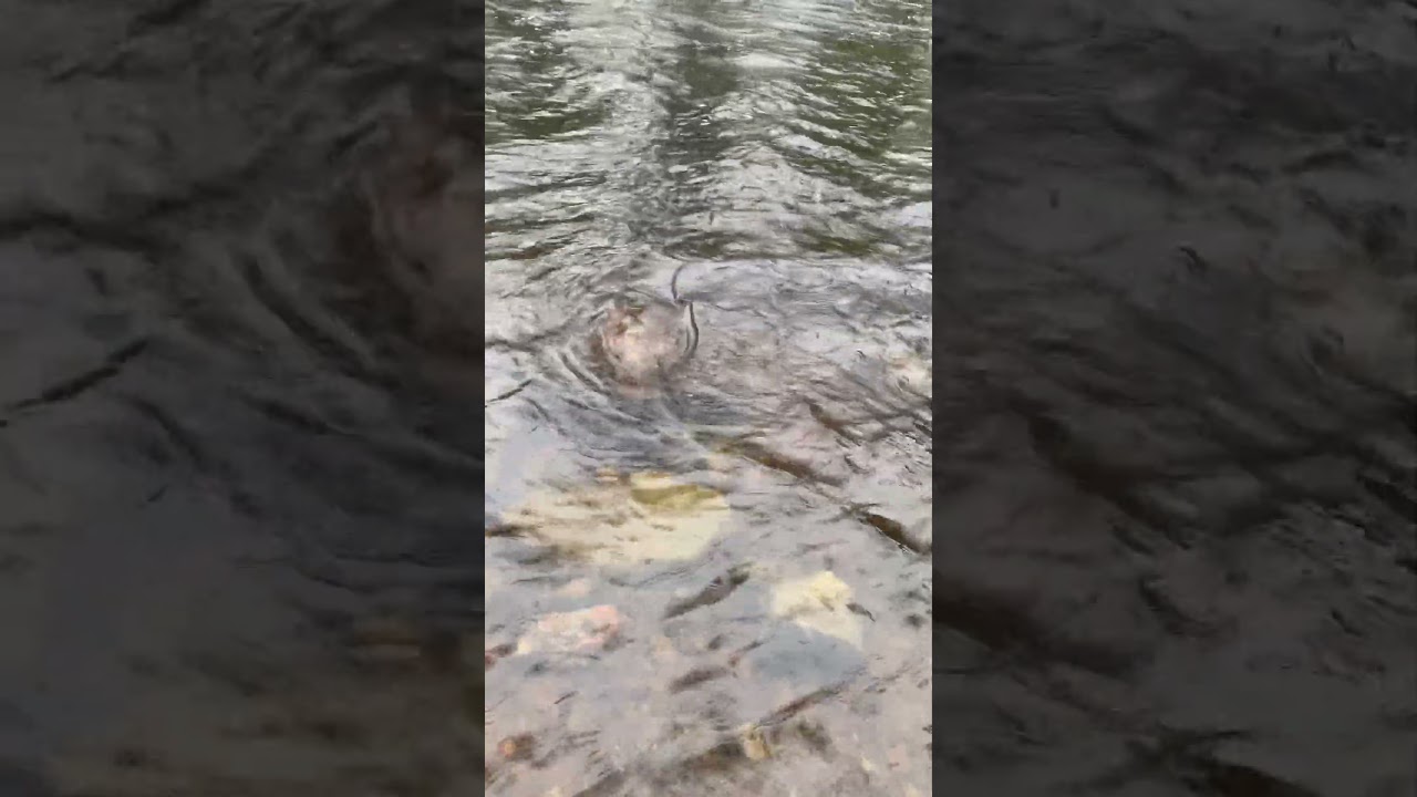 No casting needed l???