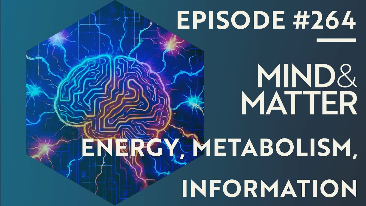 Energy Metabolism & Information Processing in the Brain | Luis Felipe Barros | 264