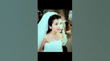 ليلي احمد زاهر اتجوزت 