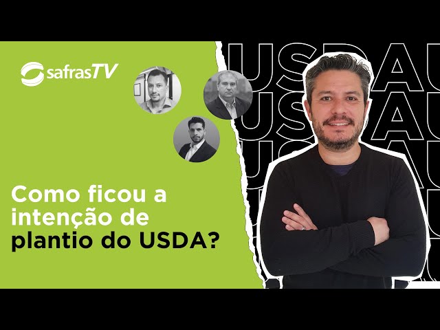 Analisamos os números do USDA de intenção de plantio para soja, milho e trigo – Pós-USDA