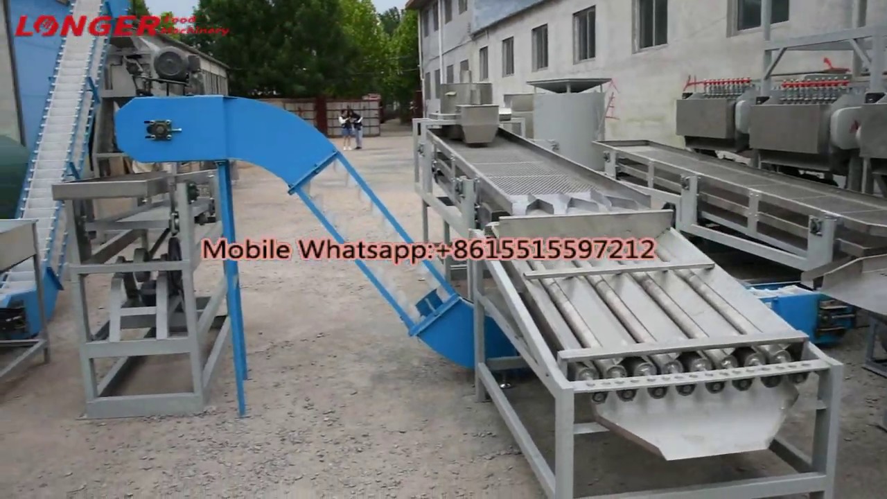 500 KG / H Raw Cashew Nut Processing Machine Turnkey Project