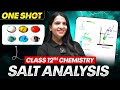 Salt Analysis Class 12 One Shot | All Concepts, Tricks & PYQs | Power Batch NEET 2026 Series