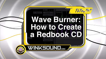 Waveburner: Overview Of The Project Window | WinkSound