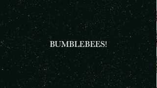 BUMBLEBEES!!
shes suppose to be bobbing her head XD fail animation is fail
song: Bumblebees by the Krookers BUMBLEBEES!!