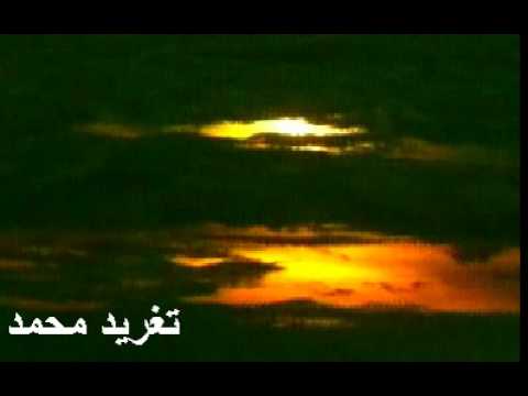 عثمان حسين انا والنجم والمساء