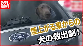 【まさか】煙が立ち上る車に犬が…救助は？  アメリカ