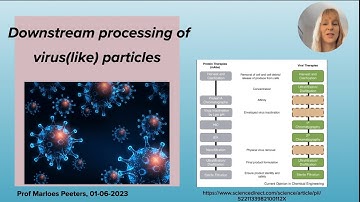 Downstream processing of virus (like) particles