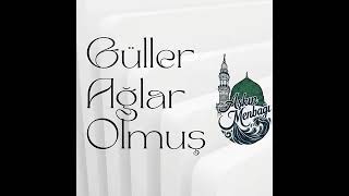 Güller Ağlar Olmuş İlahi