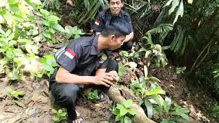 HUTAN ANGKER GUNUNG SANGKUR BANJAR!! POHON KERAMAT