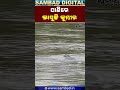 Giant Crocodile Spotted In Jajpur Floodwater | Sambad