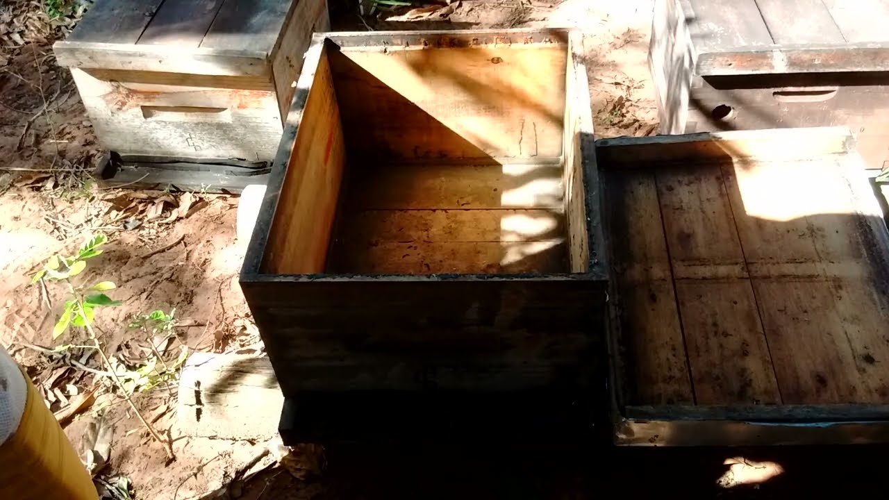 UNIÃO DE ENXAMES BÁSICA