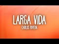 Carlos Rivera Larga Vida Letra Lyrics mp3