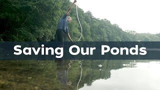 Saving Our Ponds: Testing the Waters
Part 2 of this series, “Saving Our Ponds: Testing the Waters,” features the extensive network of cyanobacteria monitoring activities underway on Cape Cod. Explore how these vital efforts play a key role in evaluating water quality as well as safeguarding human and animal health. Discover how you can actively participate in these monitoring programs and support community efforts to preserve our aquatic ecosystems.
Watch now and be part of the movement to Save our Ponds!
For more information about the Association to Preserve Cape Cod’s Pond Monitoring Programs, visit: https://apcc.org/our-work/education/freshwater-ponds/.
Information about cyanobacteria monitoring Martha’s Vineyard can be found on the MV CYANO website: https://greatpondfoundation.org/mvcyano/. Stay tuned for an upcoming video focused on MV CYANO!
Links to community pond monitoring organizations can be found here: http://cyano.whoi.edu/.
Participants and Partners:
Dr. Julie Hambrook Berkman, Lynn Francis, Rebecca Miller, Nicholas Sanders, Association to Preserve Cape Cod (https://apcc.org/)
Mary Grauerholz, Zach Karmen, Tom Messer, and Harry Thomas, Deep Pond Preservation Project (https://deeppondpreservationproject.org/)
Dr. Emily Reddington, Great Pond Foundation (https://greatpondfoundation.org/mvcyano/)
Susan Baur, Old Ladies Against Underwater Garbage (OLAUG, http://olaug-ma.com)
Susan Dangel and Meredith Hinds Harris, Save Mashpee-Wakeby Pond Alliance (https://www.savemashpeewakeby.org/home)
Dr. Neel Aluru and Dr. Judith McDowell, Falmouth Water Stewards (https://www.falmouthwaterstewards.org/) and Woods Hole Center for Oceans and Human Health (WHCOHH)
Dr. Mindy Richlen, Woods Hole Center for Oceans and Human Health (WHCOHH; https://www2.whoi.edu/site/whcohh/)
Ollie Becker and Tim Persinko, Circuit Arts (https://circuitarts.org/)
Funding support for this series was provided by:
A Woods Hole Foundation grant to the Falmouth Water Stewards
The Woods Hole Center for Oceans and Human Health (WHCOHH), with grant support from the National Institute of Environmental Health Sciences of the National Institutes of Health (1P01-ES028938; 2P01ES028938-06) and National Science Foundation (OCE-1840381; 2418297).
The content is solely the responsibility of the authors and does not necessarily represent the official views of the National Institutes of Health or the National Science Foundation.
© Woods Hole Oceanographic Institution Saving Our Ponds: Testing the Waters