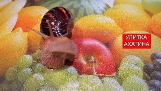 Люби этот Мир | Релакс | Relax Люби этот Мир | Релакс | Relax