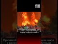 В Турции бушуют крупные лесные пожары