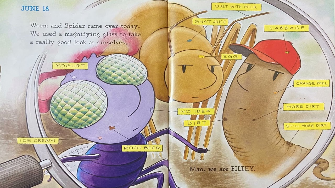 Diary of a Fly - YouTube