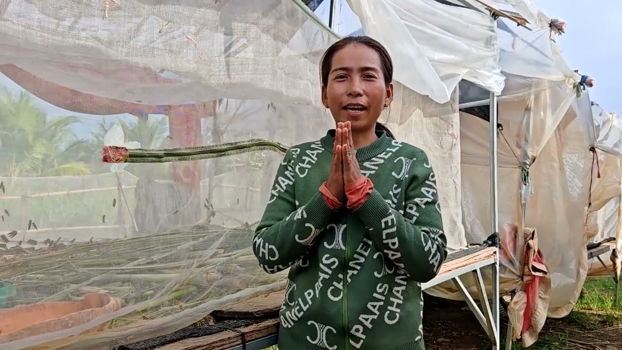 មុខរបរចិញ្ចឹមកណ្ដូបចំណូលខ្ពស់ចំណាយតិច | កសិកម្មឃុំ