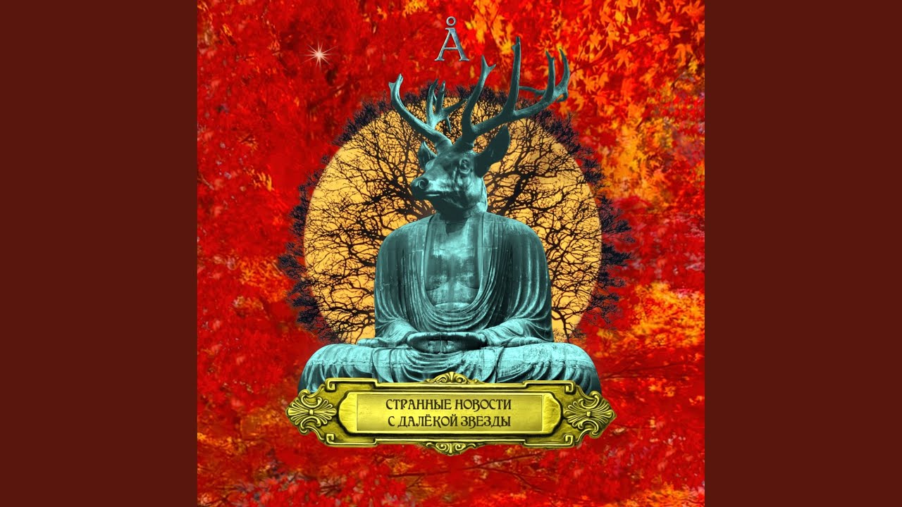 Все Кошки Серы