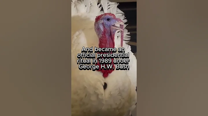 Meet the 2025 Pardoned Turkeys 'Gobble' & 'Waddle'