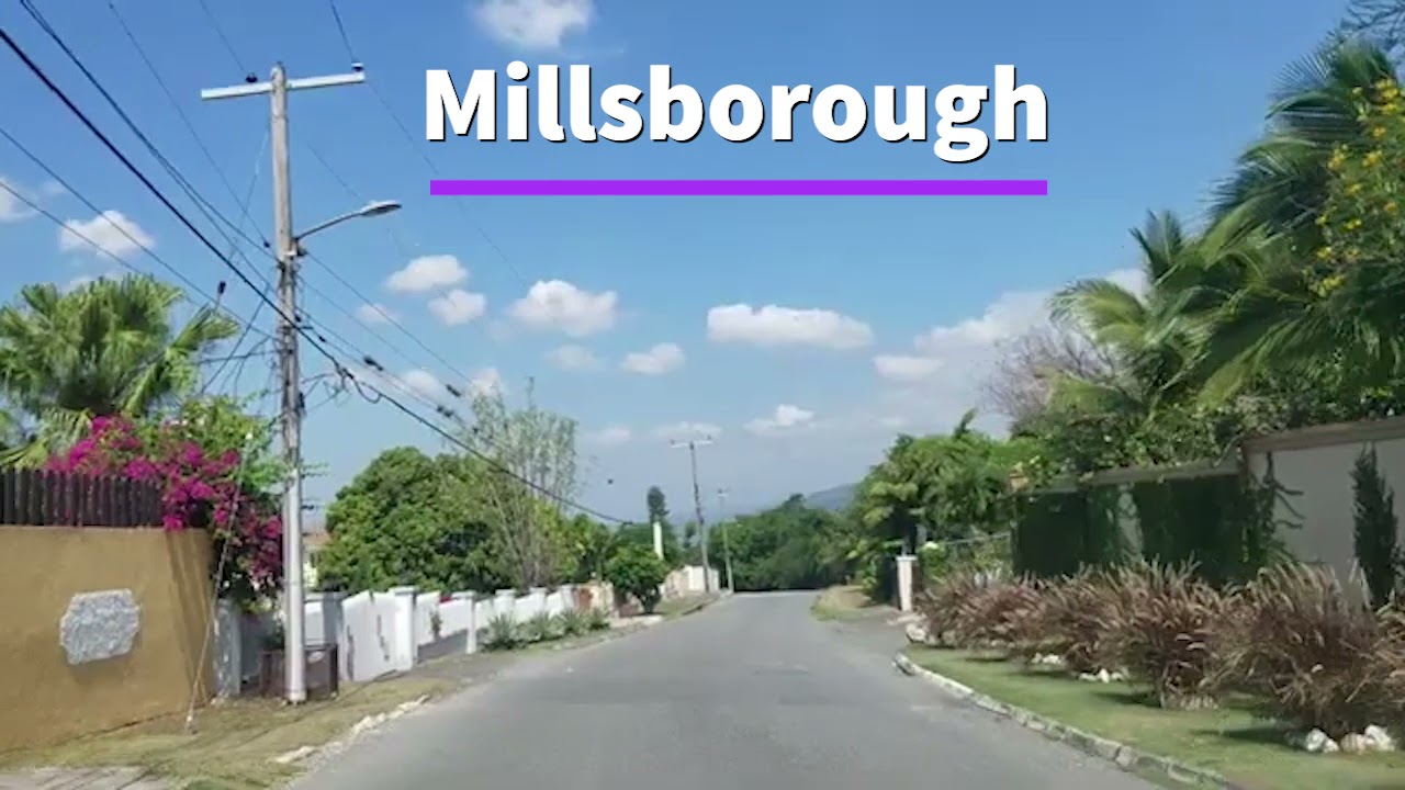 Millsborough | Jamaica