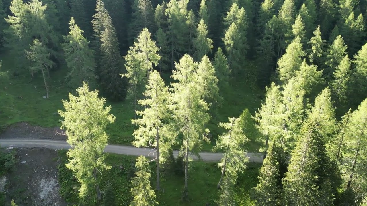 Erlacherhaus Langalmtal  Nockberge  Gr. Rosennock   Predigerstuhl Erlacher Bock Hütte  Zunderwand