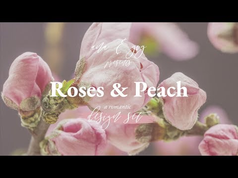 animated romantic Corporate Branding, a Work Illustration by ana & yvy (Thumbnail 2 of 14)