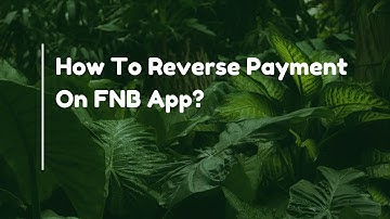 How To Reverse Payment On FNB App?