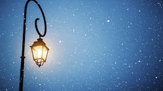 Details The Streetlight Effect in Business Intelligence HD News