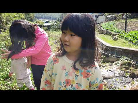 <strong>추석날</strong> 산골의 도깨비 식구들 일상 산나물 씨앗 체취 개밥도 주었다!