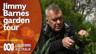 Touring Jimmy Barnes