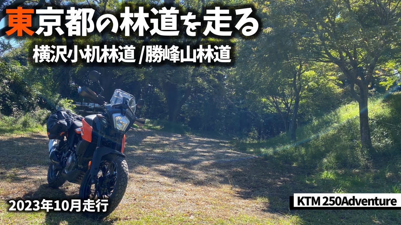 東京のあきる野市にある2本の林道を走りました 2023年10月22日